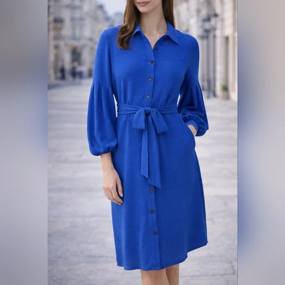 Calvin Klein Blue Button Front Tie Waist Midi Dress Size 10 Corpcore Minimalist - Picture 1 of 10